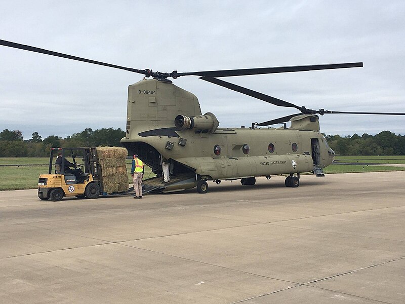 File:Texas National Guard (44702053924).jpg