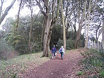 South West Coast Path on the Ness