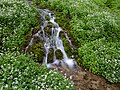 * Nomination: Ellernbach stream near Tiefenellern in Franconian Switzerland --Ermell 04:16, 14 May 2024 (UTC) * * Review needed