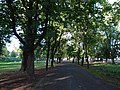 Tiigiveski Park-4.jpg