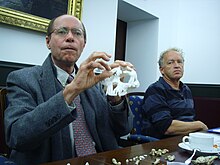 Tim White with a cast of "Ardi", a well known Ardipithecus Ramidus fossil Tim White 2010-01.JPG
