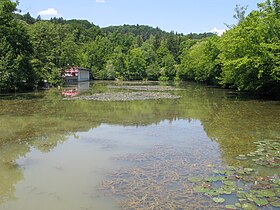 Tivoli Pond in late spring (before the 2011 renovation). View towards north, with Rožnik Hill in the background. A cafe operates next to the northwestern corner.