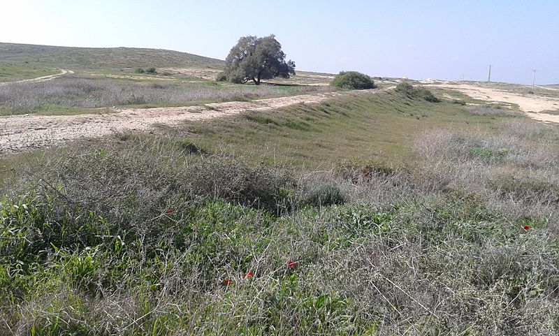 File:Train from Ofakim to Sde Teiman 12.jpg