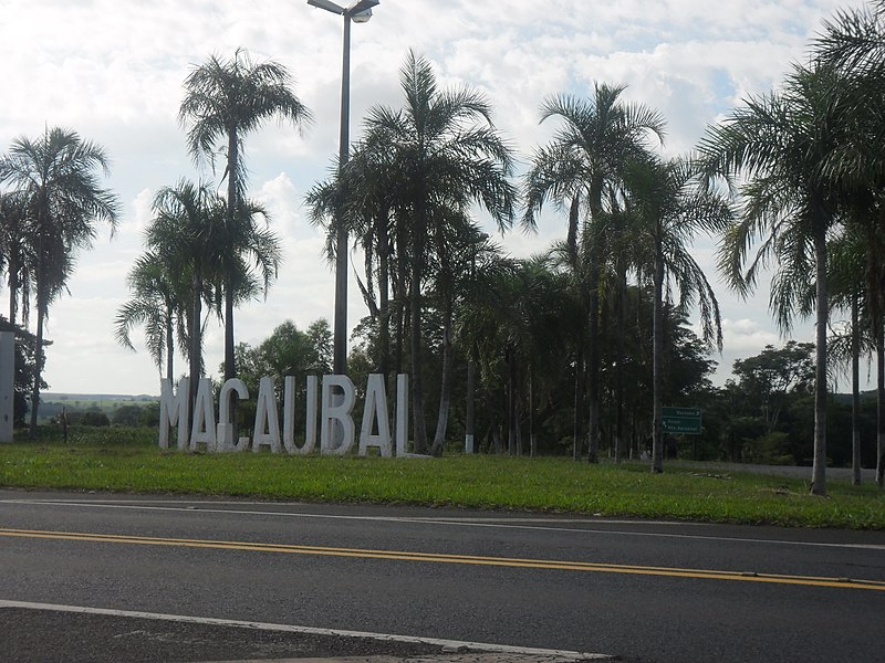 File:Trevo de entrada para Macaubal - SP - panoramio.jpg