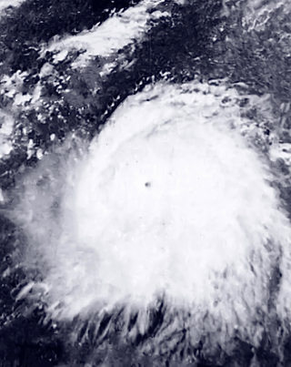 <span class="mw-page-title-main">Typhoon Rita (1978)</span> Pacific typhoon in 1978