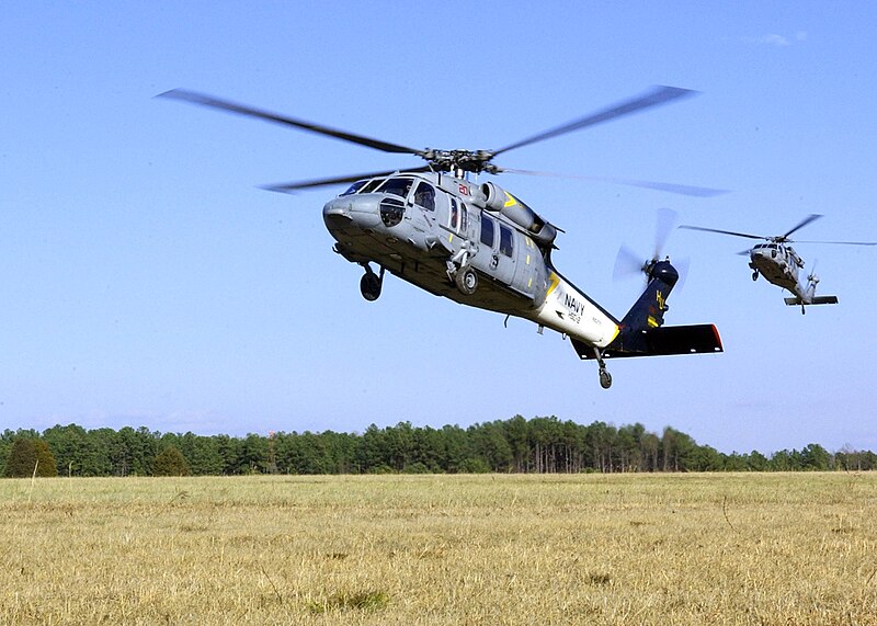 File:US Navy 070124-N-8493H-003 Two MH-60S Seahawk helicopters assigned to the.jpg