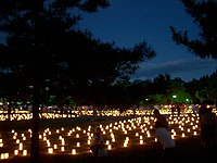 2007年的奈良燈花會浮雲園地