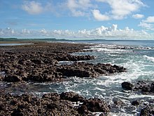 Uncovered reef flat during low tide on Guam Uncovered reef flat with intervening channels at low tide on the Guam coastline (line382192927).jpg