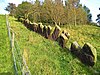 Vaccary Walls near Wycoller.jpg