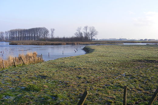 Veenlens in de Grote Geule, België