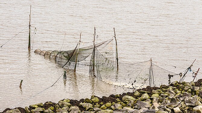 Fish trap in the Wadden Sea.