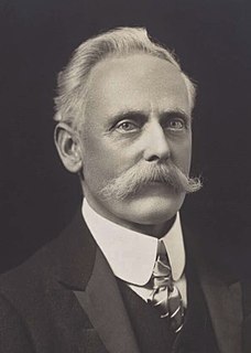 William McWilliams Australian politician