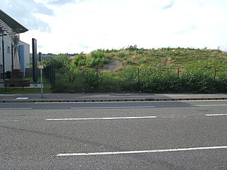 <span class="mw-page-title-main">West Tinsley railway station</span> Disused railway station in South Yorkshire, England