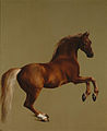 Whistlejacket, 1762, National Gallery, Londres.