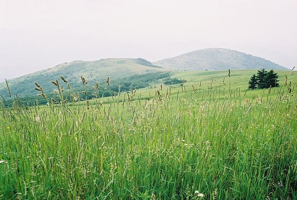 The Virginia highlands in Southwest Virginia