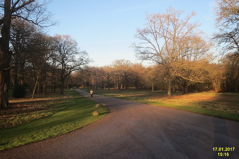 File:Windsor Great Park (32204929064).jpg