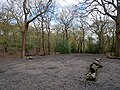 The Witches' Coven, an area in Queen's Wood, Highgate.