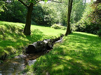 Stackenberger Bach before entering the pond