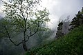 "Western Caucasus", Загадочный каньон реки Ходзь в облаках и тумане, горы Западного Кавказа.jpg