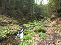 Údolí Klopotského potoka, Gelobtbachtal - panoramio (20).jpg