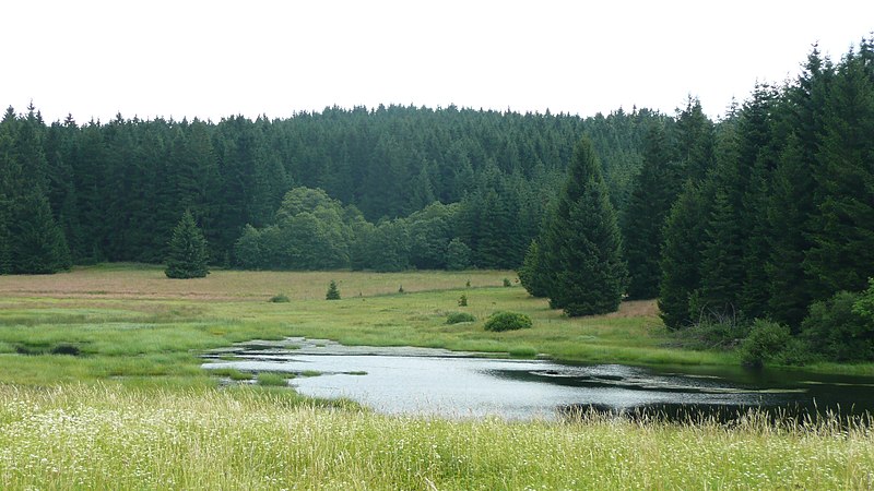 File:Český les, jezero nedaleko Staré Knížecí Huti.JPG