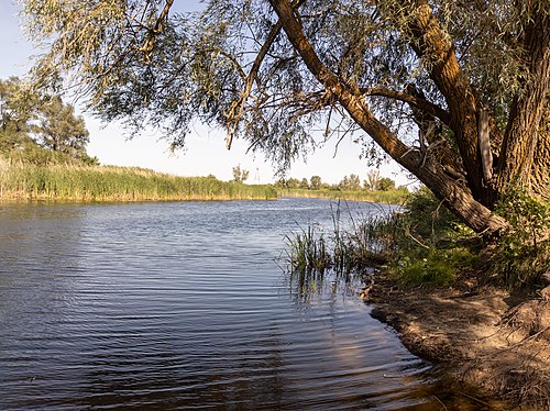 Реки никуда не