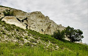 Баранячі лоби