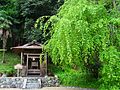 吉野町樫尾 天皇神社 Tennō-jinja, Kashio 2012.5.01 - panoramio.jpg
