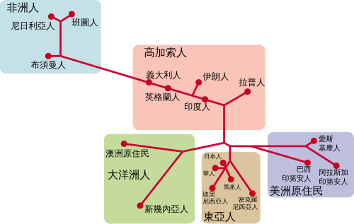 人種 维基百科 自由的百科全书