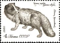 Песец вуалевый на почтовой марке СССР, 1980 год