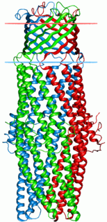 <span class="mw-page-title-main">Outer membrane efflux proteins</span>