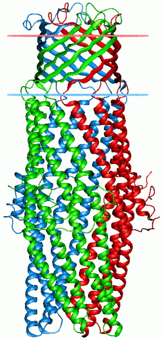 <span class="mw-page-title-main">Outer membrane efflux protein</span>