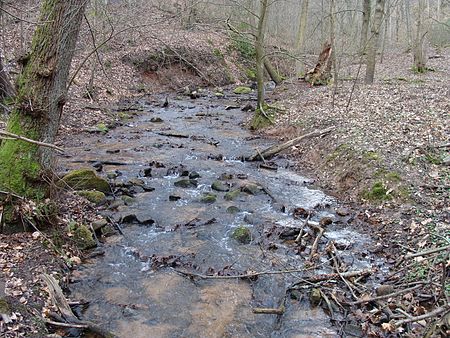 2015 Pfälzerwald 028 Kaltenbrunnertalbach