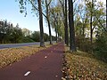 Miniatuur voor Bestand:2018-10-27 Fietssnelweg De Liemers Arnhem Oude Zevenaarseweg.jpg