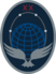 20th Space Surveillance Squadron emblem.png