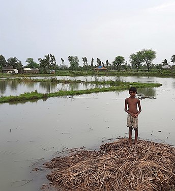 3.3 million children affected in West Bengal due to cyclone Yaas-Sundarban-West Bengal-June 2021-20210620 133404 Photograph: Sumita Roy Dutta