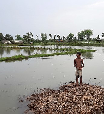 3.3 million children affected in West Bengal due to cyclone Yaas-Sundarban-West Bengal-June 2021-20210620 133404 Фото: Sumita Roy Dutta