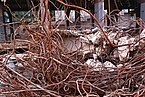 Close-up of collected concrete wires at the demolition site of the C.S. Post Building Amsterdam, February 2011; free photo, Fons Heijnsbroek