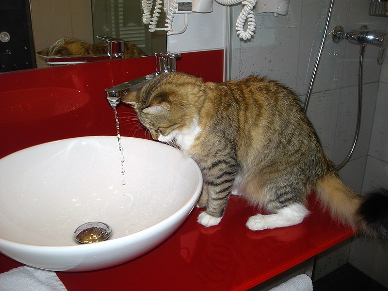 File:A drop, another drop, sink, Waldhotel Hohberg in Schaffhausen, Switzerland.jpg