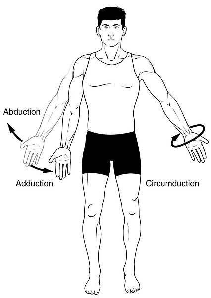 File:Ab add and circumduction.jpg