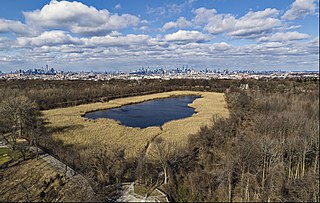 Ridgewood Reservoir Decommissioned reservoir in New York City