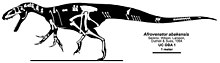 Skeletal diagram of known material Afrovenator skeleton.jpg