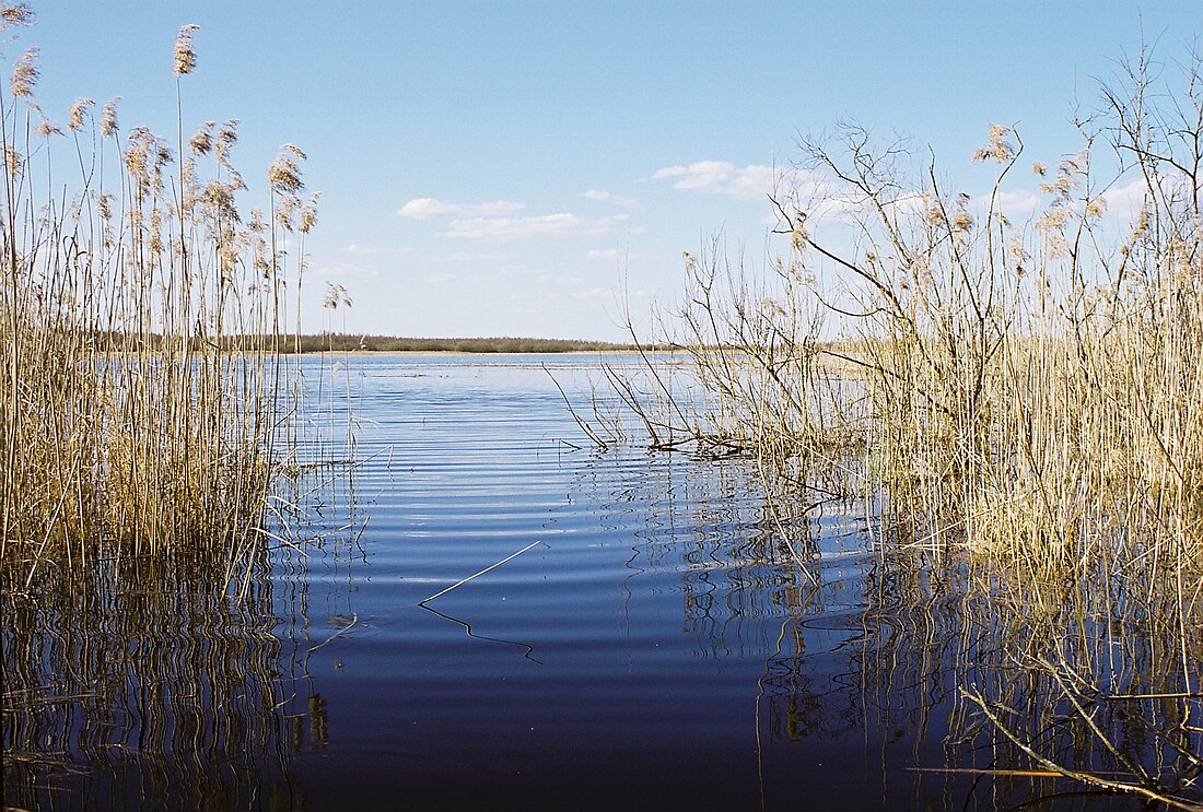 File:Ahijärv, 2008.jpg