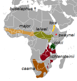 Elterjedési területe (ezen a térképen a két másik faj is fent van, de mint alfajok)