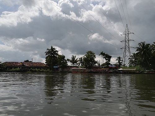 Allepey Backwaters, Kerala