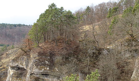 Alt Gutenstein (Burgfelden) 06