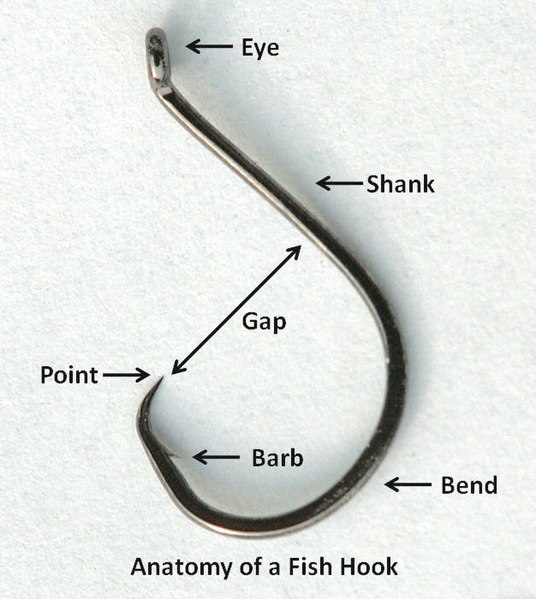 File:Anatomyofafishhook.jpg