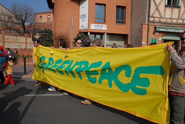 Membres de Greenpeace pendant la manifestation anti-EPR à Toulouse