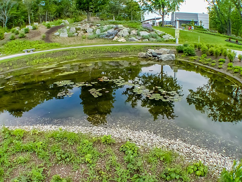 File:Aquarium Quebec City (39422984845).jpg