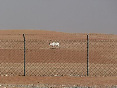 Former UNESCO World Heritage Sites